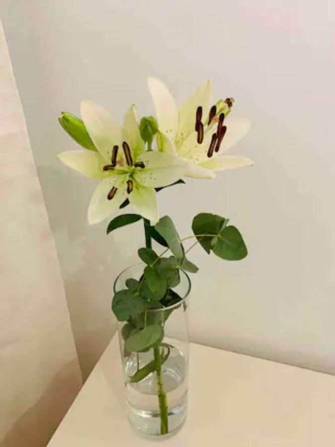 마르베야 Puerto Banus 아파트 외부 사진